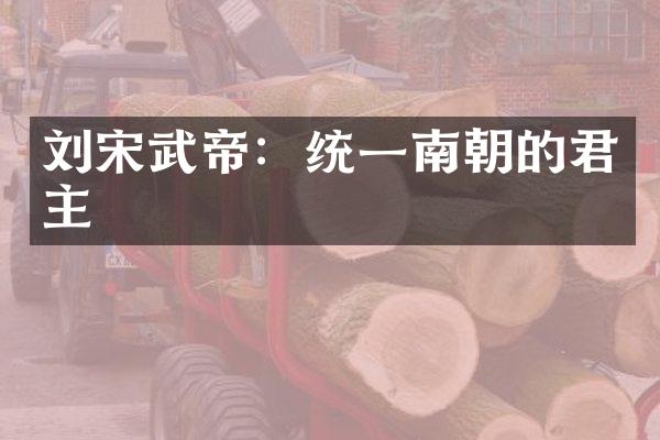 刘宋武帝：统一南朝的君主