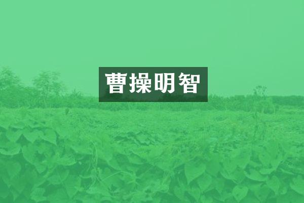 曹操明智