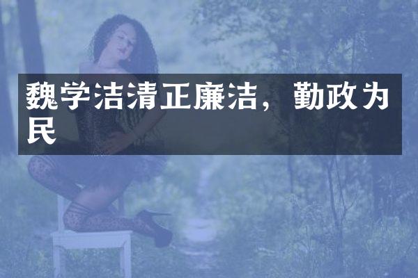 魏学洁清正廉洁，勤政为民
