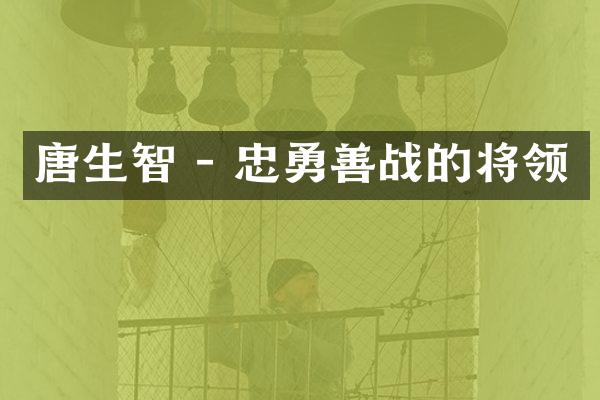 唐生智 - 忠勇善战的将领