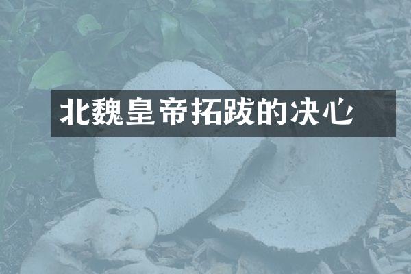 北魏皇帝拓跋珪的决心