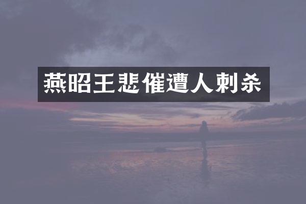 燕昭王悲催遭人刺杀