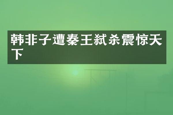 韩非子遭秦王弑杀震惊天下