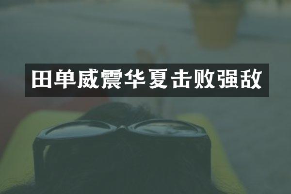 田单威震华夏击败强敌
