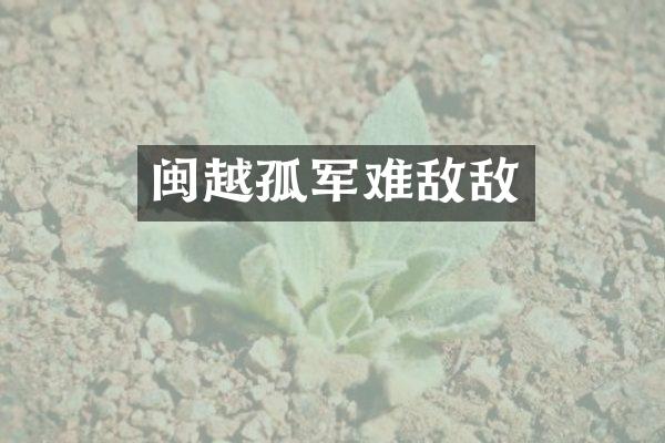 闽越孤军难敌敌