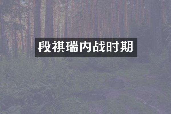段祺瑞内战时期
