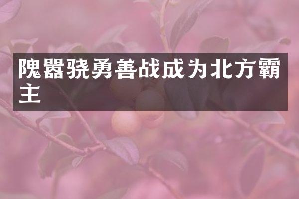 隗嚣骁勇善战成为北方霸主
