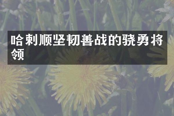 哈剌顺坚韧善战的骁勇将领