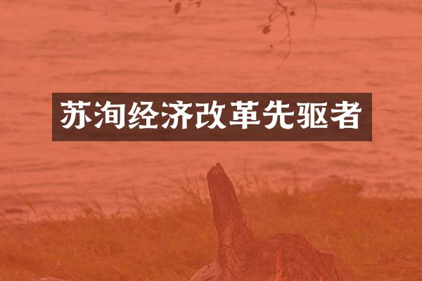 苏洵经济改革先驱者