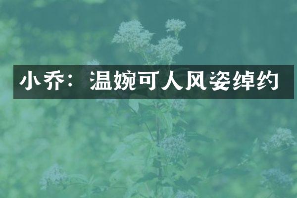 小乔：温婉可人风姿绰约