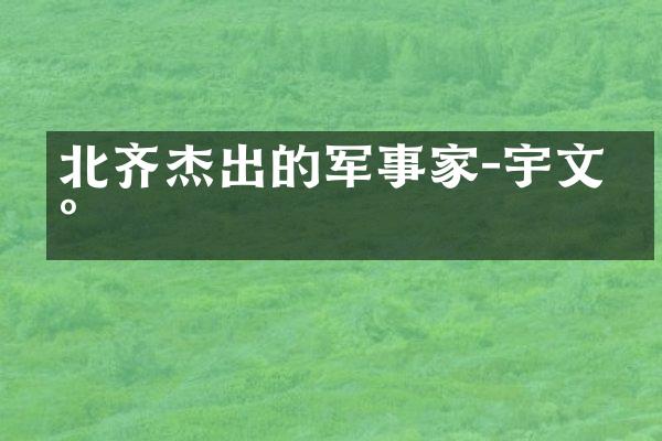 北齐杰出的军事家-宇文台