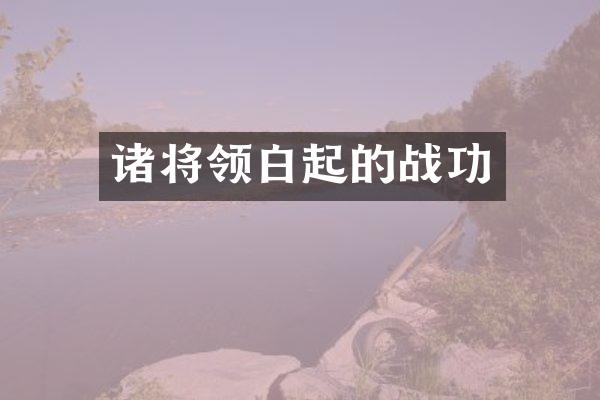 诸将领白起的战功