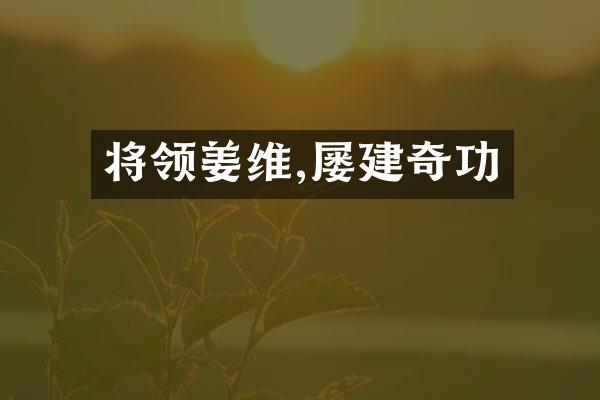 将领姜维,屡建奇功
