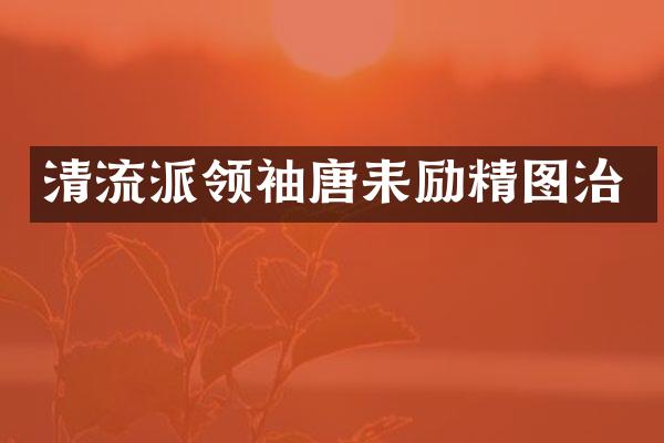 清流派唐耒励精图治