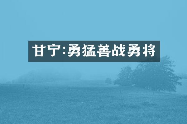 甘宁:勇猛善战勇将