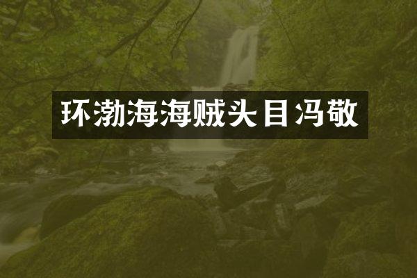环渤海海贼头目冯敬
