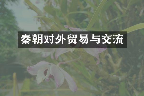 秦朝对外贸易与交流