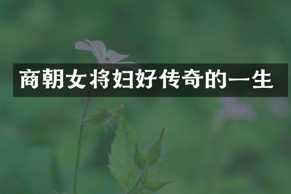 商朝女将妇好传奇的一生