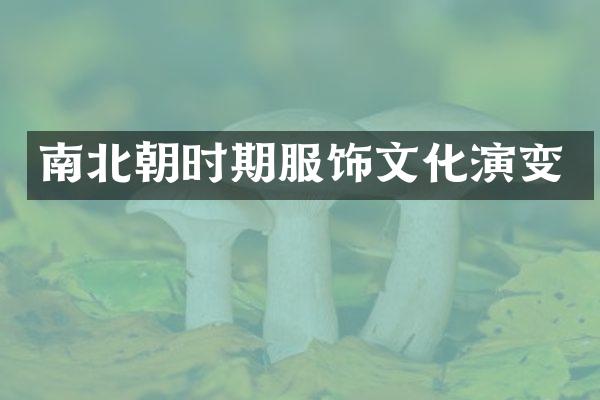 南北朝时期服饰文化演变