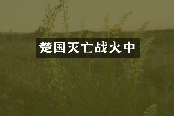 楚国灭亡战火中
