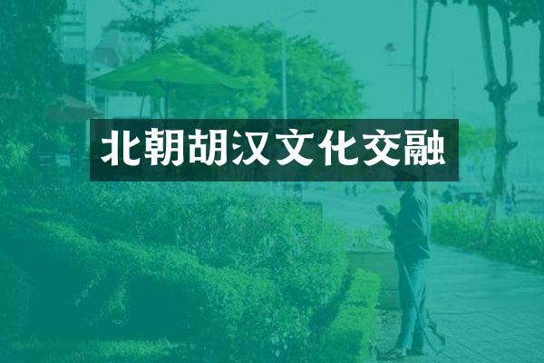 北朝胡汉文化交融