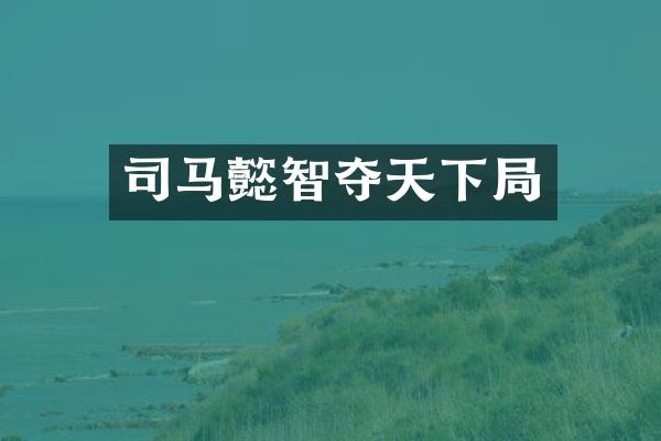 司马懿智夺天下局