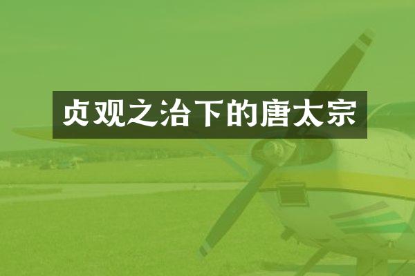 贞观之治下的唐太宗