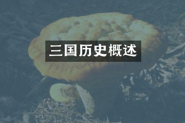 三国历史概述