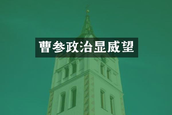 曹参政治显威望