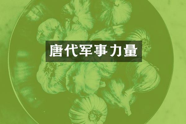 唐代军事力量