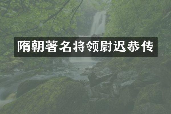 隋朝著名将领尉迟恭传