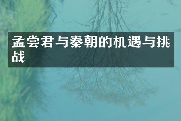 孟尝君与秦朝的机遇与挑战