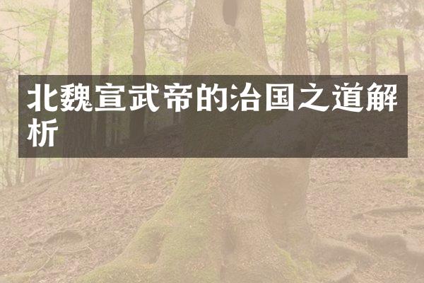 北魏宣武帝的治国之道解析