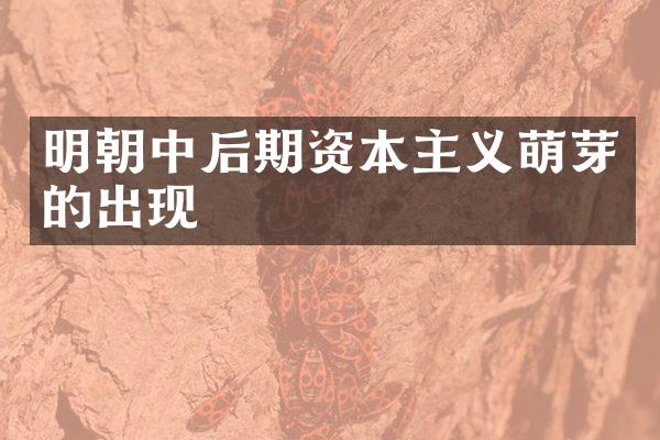 明朝中后期资本主义萌芽的出现