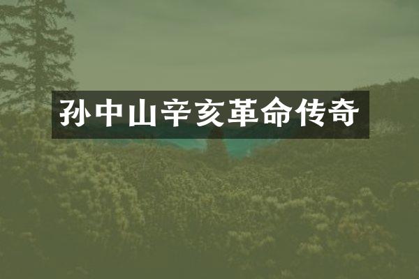 孙中山辛亥革命传奇