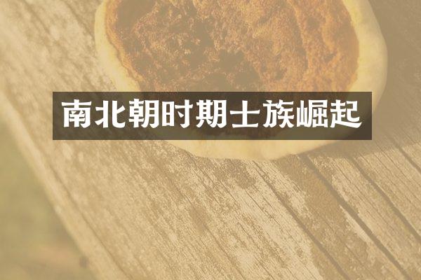 南北朝时期士族崛起