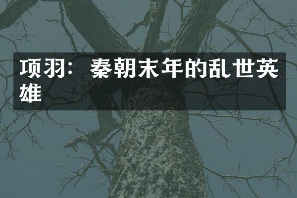 项羽：秦朝末年的乱世英雄