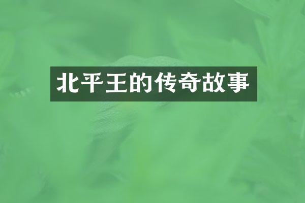 北平王的传奇故事