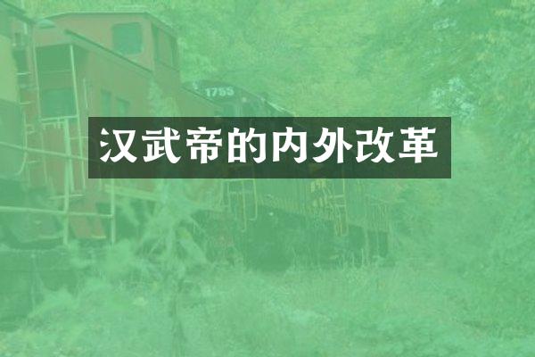 汉武帝的内外改革