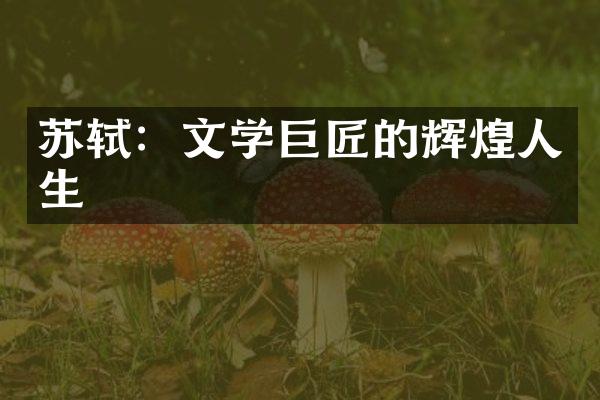 苏轼：文学巨匠的辉煌人生