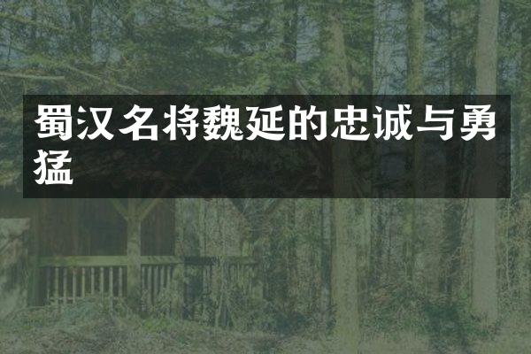 蜀汉名将魏延的忠诚与勇猛