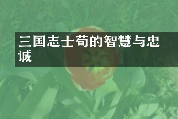 三国志士荀彧的智慧与忠诚