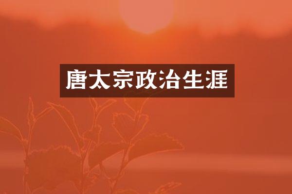 唐太宗政治生涯