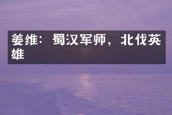 姜维：蜀汉军师，北伐英雄