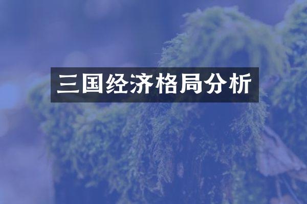三国经济格局分析