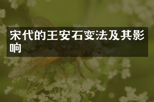 宋代的王安石变法及其影响