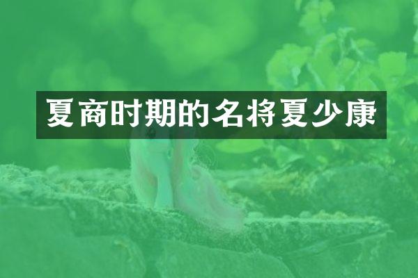 夏商时期的名将夏少康