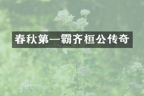 春秋第一霸齐桓公传奇