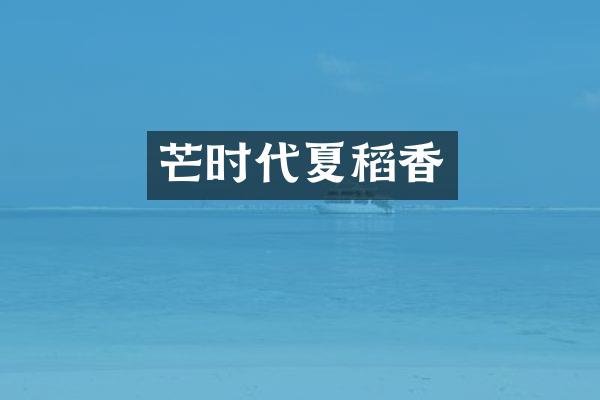 芒时代夏稻香