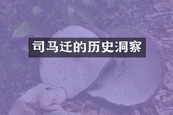 司马迁的历史洞察